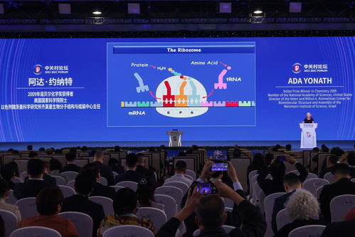 北京市 向全球科技創(chuàng)新重要樞紐邁進(jìn)